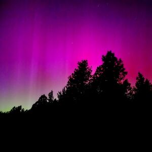 Meet your Posher, Georgiana